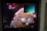 Dry lab viewing station Thumbnail