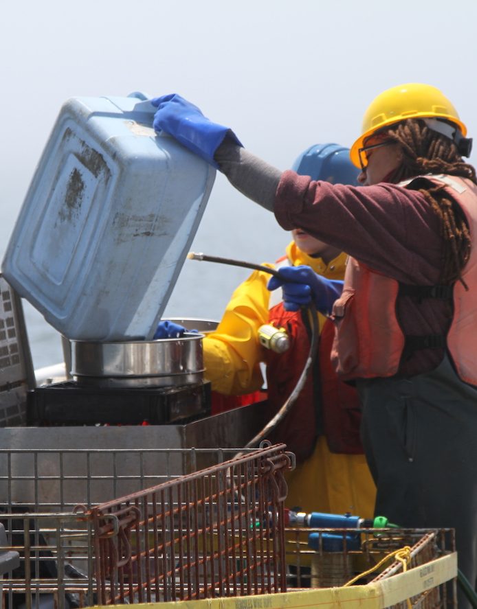 University of New Haven students sieving grab samples for infauna