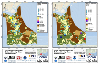 Maps showing Infaunal and Epifaunal Species Richness in the Phase I area in Fall and Spring seasons