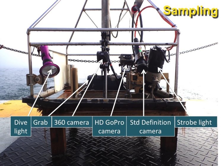 Image of the USGS' SEABOSS (Seafloor Benthic Observation and Sampling System) with labels indicating the technologies on board