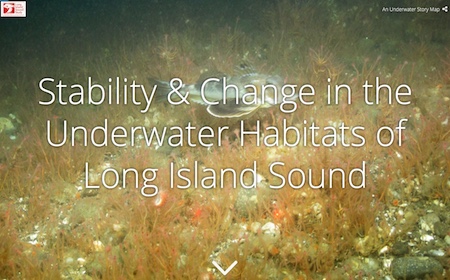 Stability & Change in the Underwater Habitats of Long Island Sound