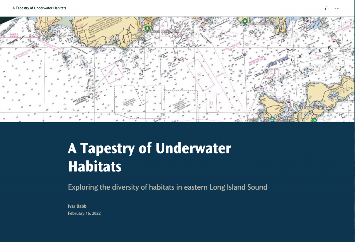 Screen capture from the "A Tapestry of Underwater Habitats" story map
